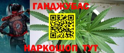 PSILOCYBIN Кингисепп