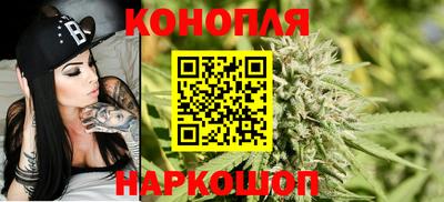 PSILOCYBIN Кингисепп