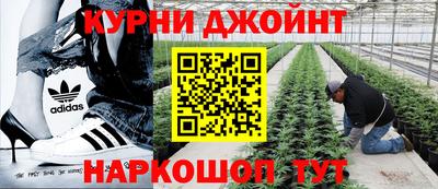 ешки Кинель