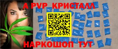 PSILOCYBIN Кингисепп