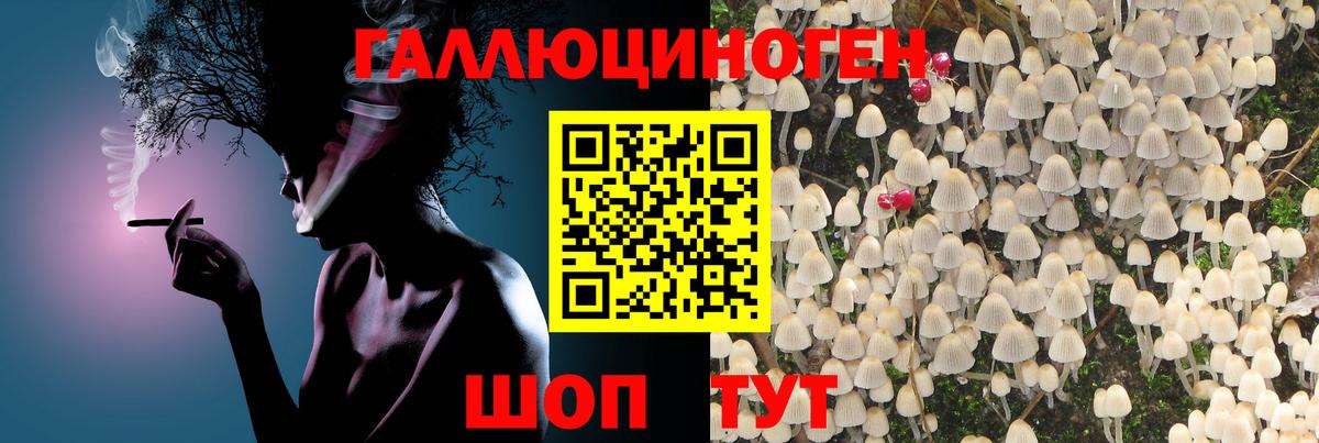 Псилоцибиновые грибы мицелий Ковров