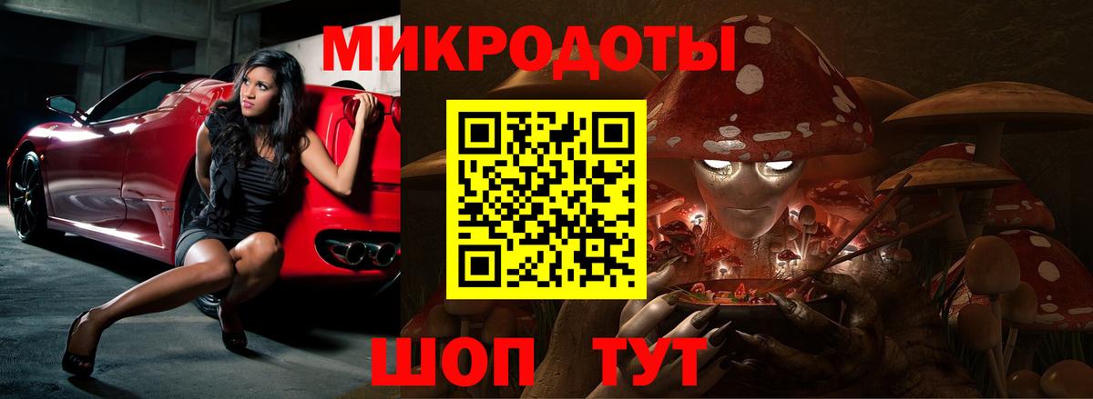 Ковров  Псилоцибиновые грибы MAGIC MUSHROOMS  Галлюциногенные грибы Cubensis  Вход с VPN 